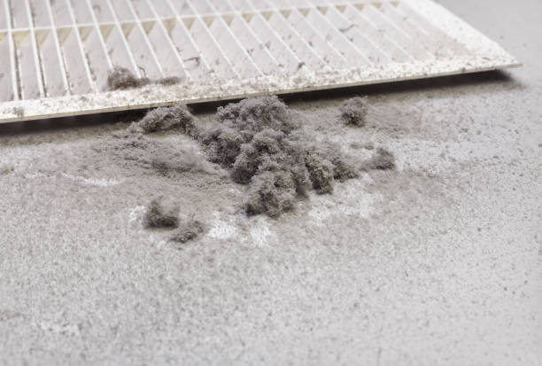 Best Home Air Vent Cleaning  in Mvell, AR